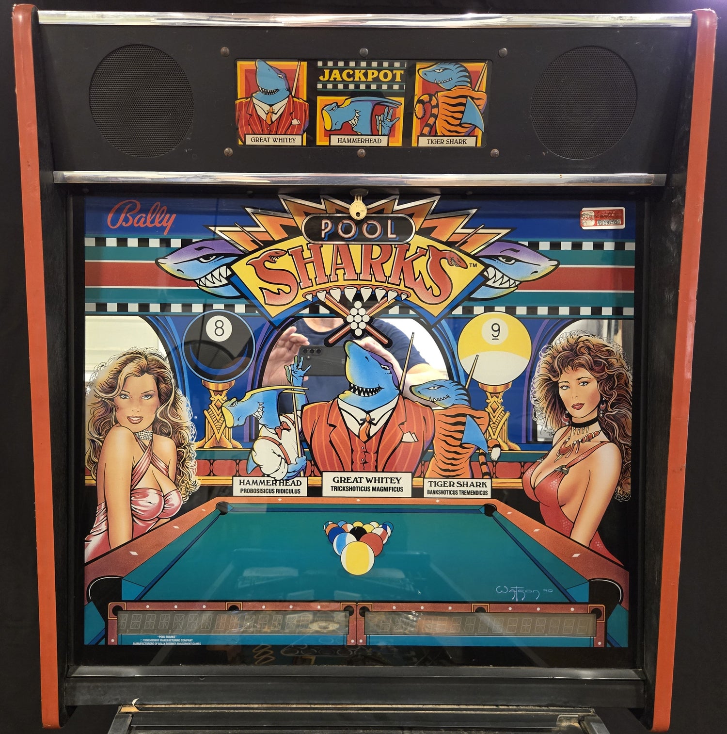 Pool Sharks (Refurbished) Bally 1990