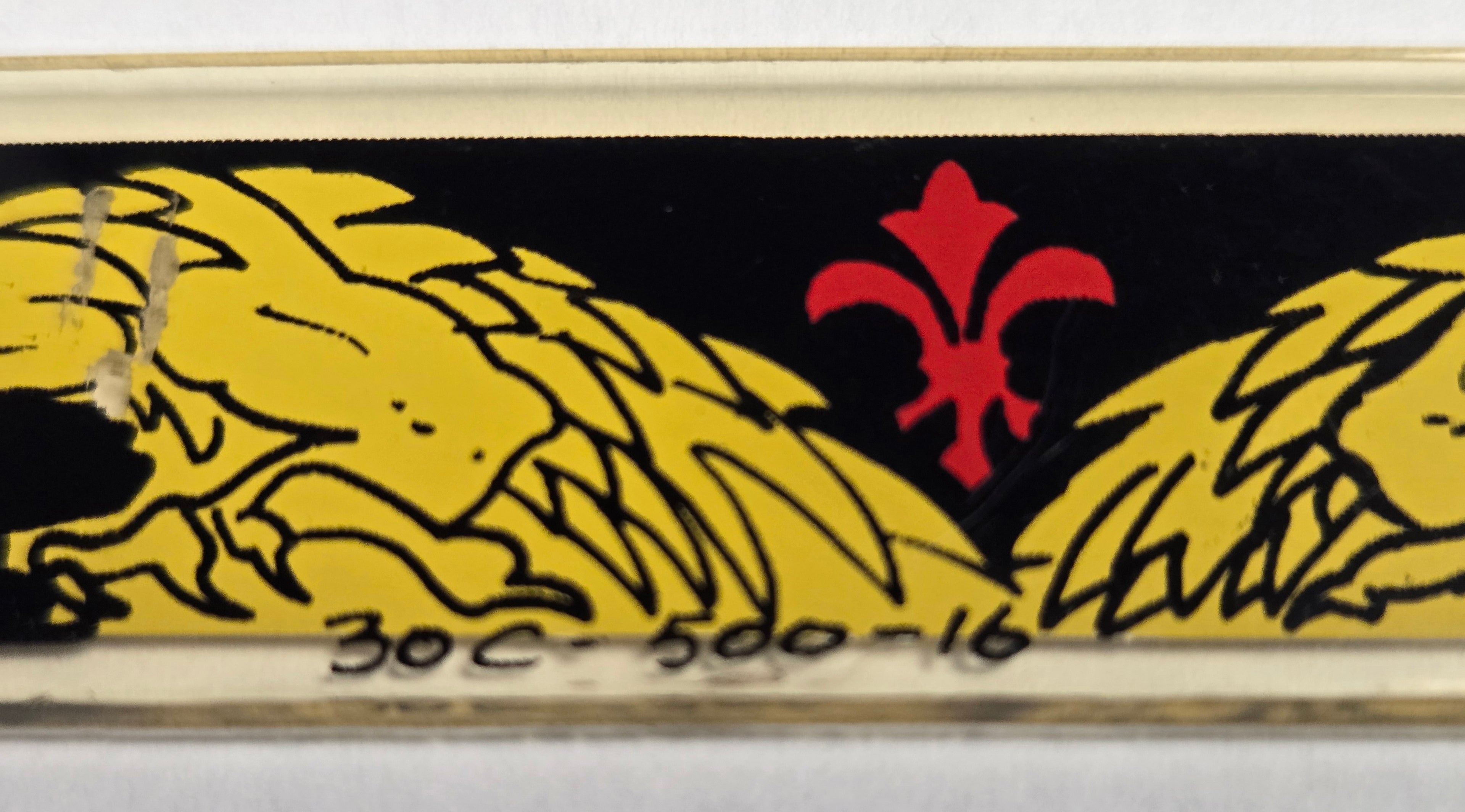 Black Knight Pinball (Williams, 1980) Original Playfield Plastic 30C-500-16