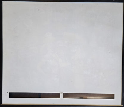 Dr. Dude and His Excellent Ray (Refurbished) Bally 1990