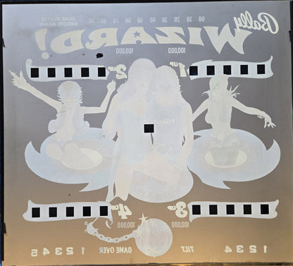 Wizard (Restored) Bally 1975