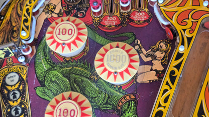 Lost World (Refurbished) Bally 1978