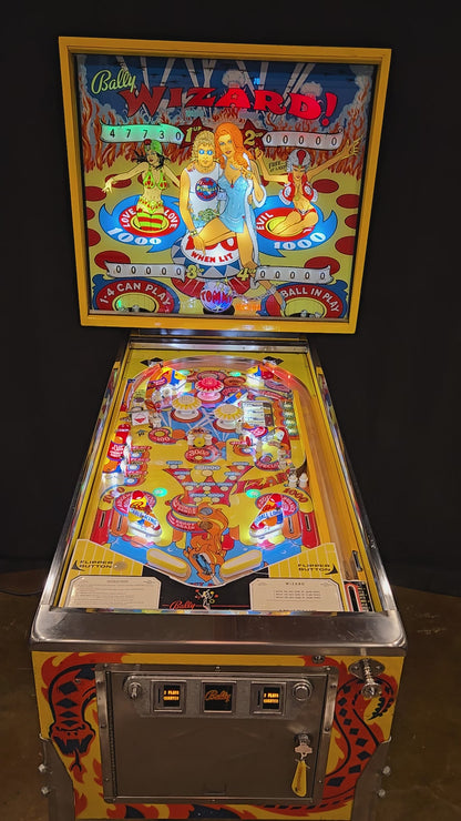 Wizard (Restored) Bally 1975