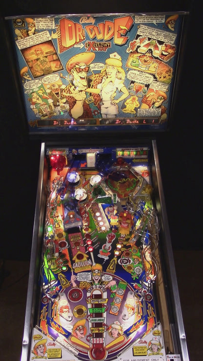 Dr. Dude and His Excellent Ray (Refurbished) Bally 1990